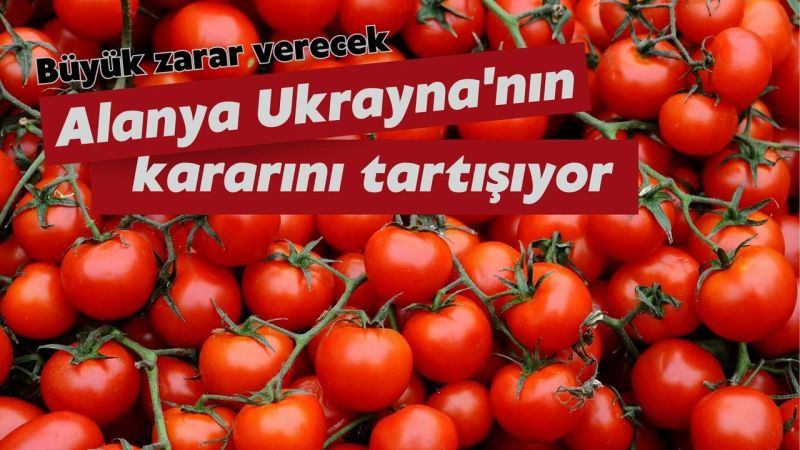 Ukrayna’nın  taze domates ve salatalık ithalatına getirdiği ek gümrük